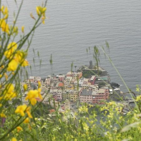 Ca Gialla De Drignana ヴェルナッツァ エクステリア 写真