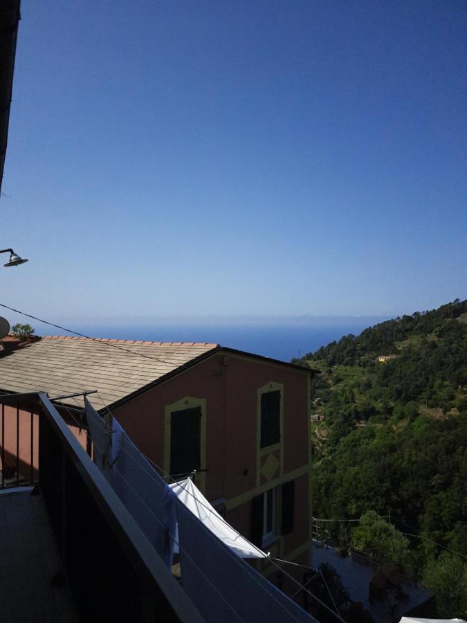 Ca Gialla De Drignana ヴェルナッツァ エクステリア 写真
