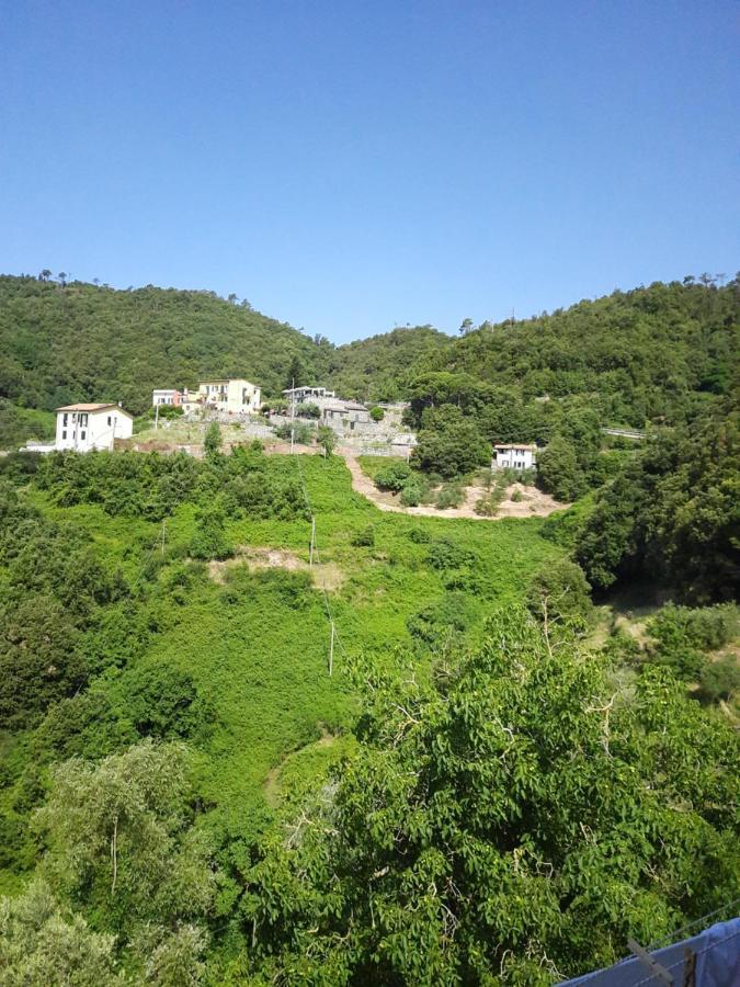 Ca Gialla De Drignana ヴェルナッツァ エクステリア 写真