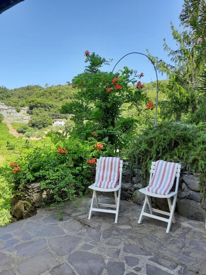 Ca Gialla De Drignana ヴェルナッツァ エクステリア 写真