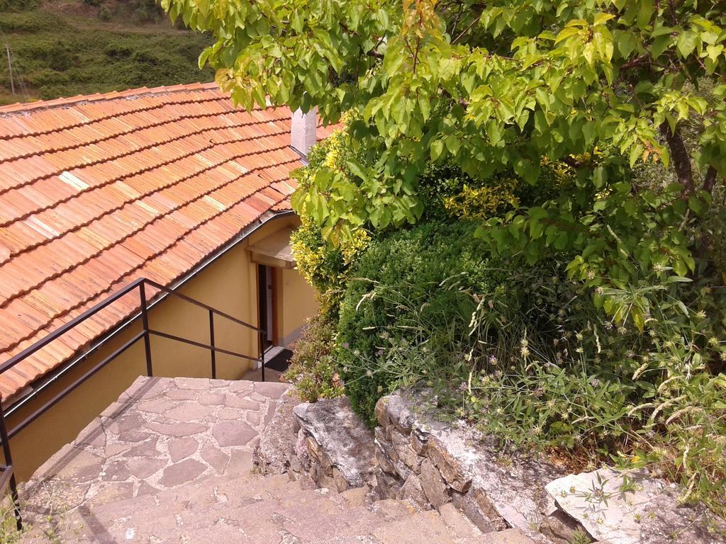 Ca Gialla De Drignana ヴェルナッツァ エクステリア 写真