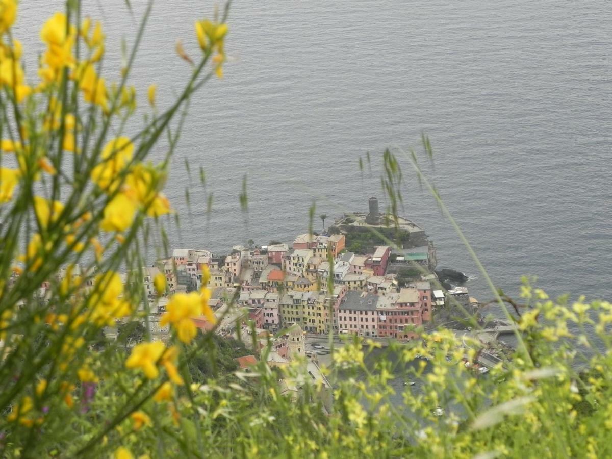 Ca Gialla De Drignana ヴェルナッツァ エクステリア 写真
