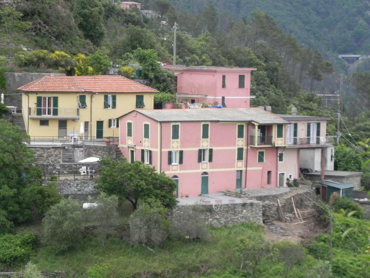 Ca Gialla De Drignana ヴェルナッツァ エクステリア 写真
