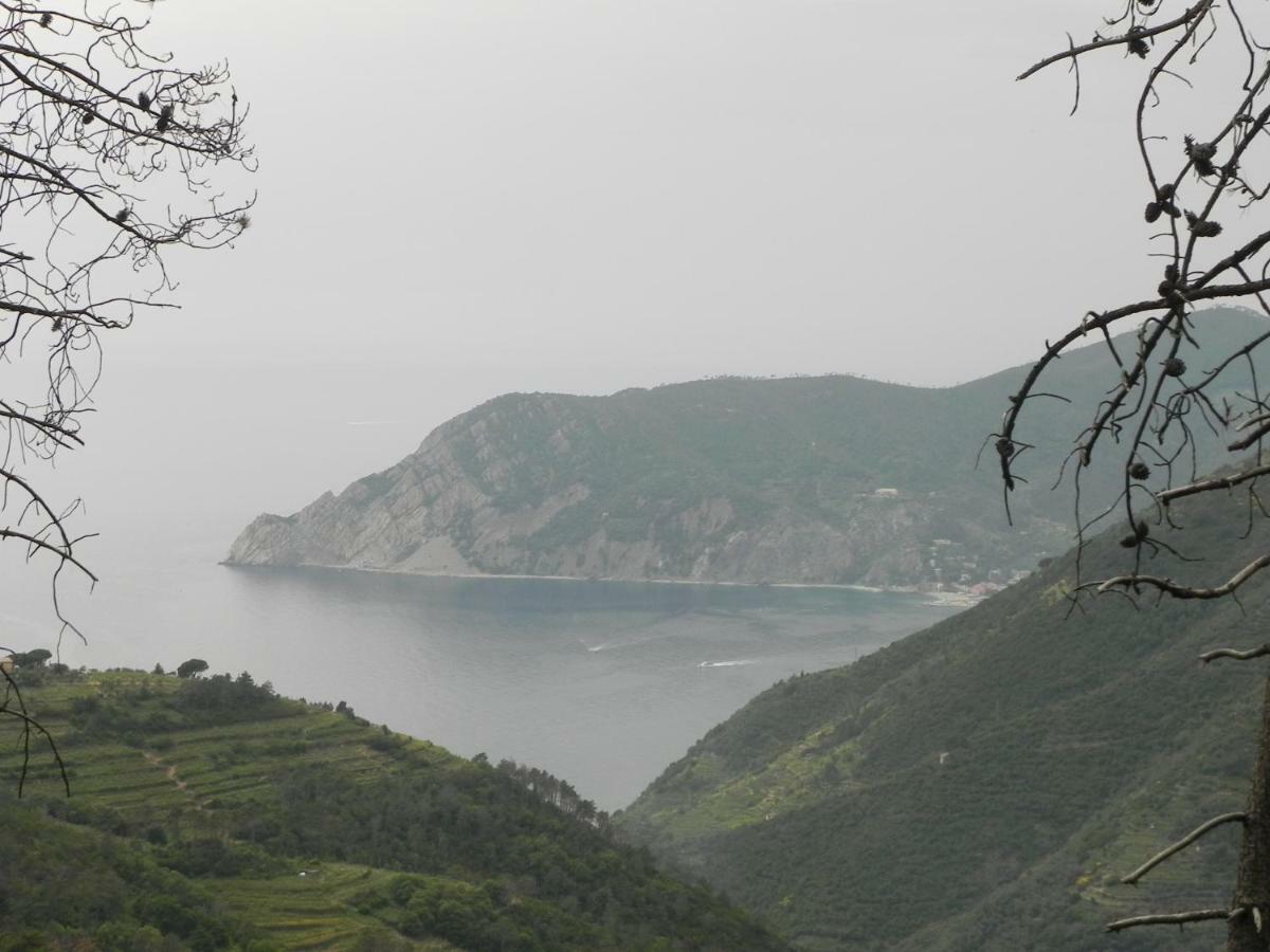 Ca Gialla De Drignana ヴェルナッツァ エクステリア 写真