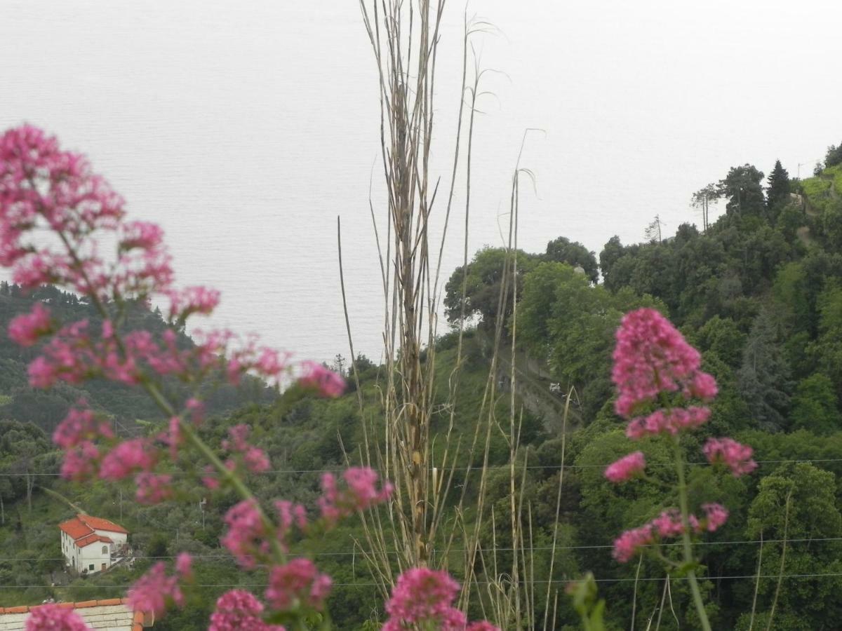 Ca Gialla De Drignana ヴェルナッツァ エクステリア 写真